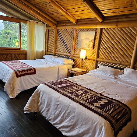 Golden Tree Mindo Eco-Lodge Exterior photo