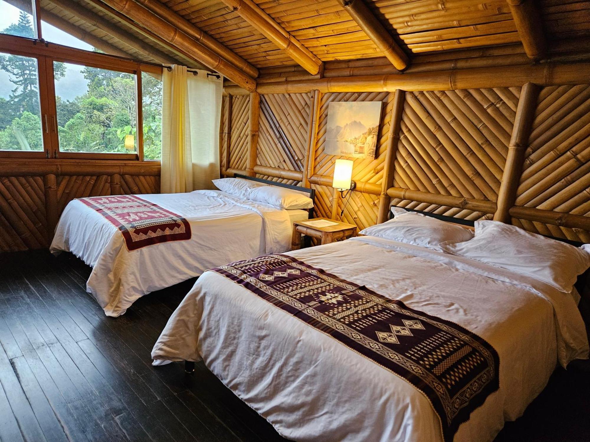 Golden Tree Mindo Eco-Lodge Exterior photo